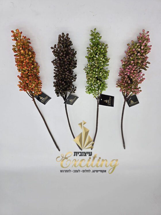 ⁦ענף דורה בורדו⁩ – תמונה ⁦2⁩