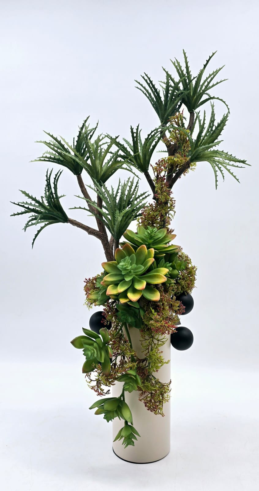 אגרטל צילינדר קרם עם כדורים שחורים בשזירת סוקולנטים גדול