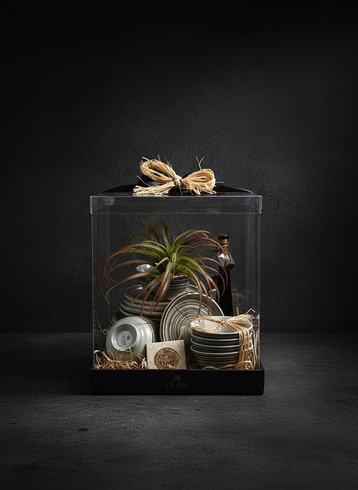 סט צלחות דגם מלמין ירוק