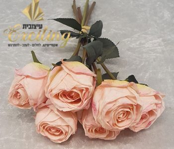 1079 בוקט וורדים מעושנים ורוד