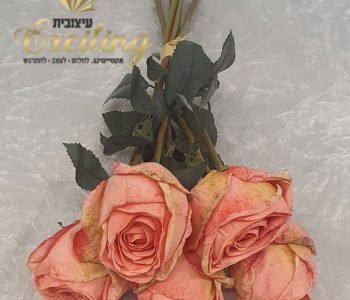 1079 בוקט וורדים מעושנים אפרסק