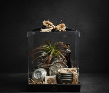 סט צלחות דגם מלמין ירוק